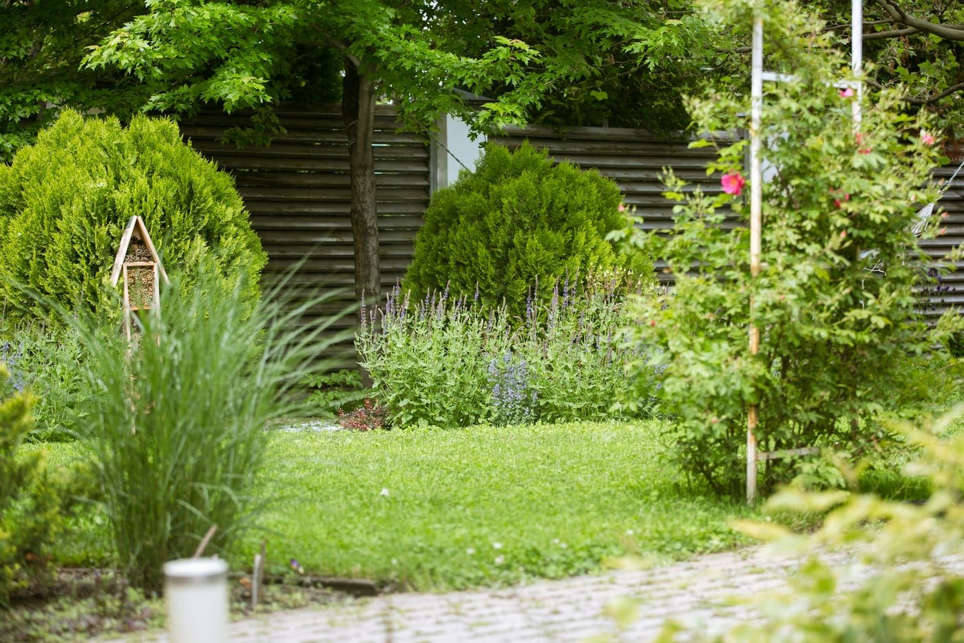 A planted garden bed and clipped hedge alongside a mown lawn.