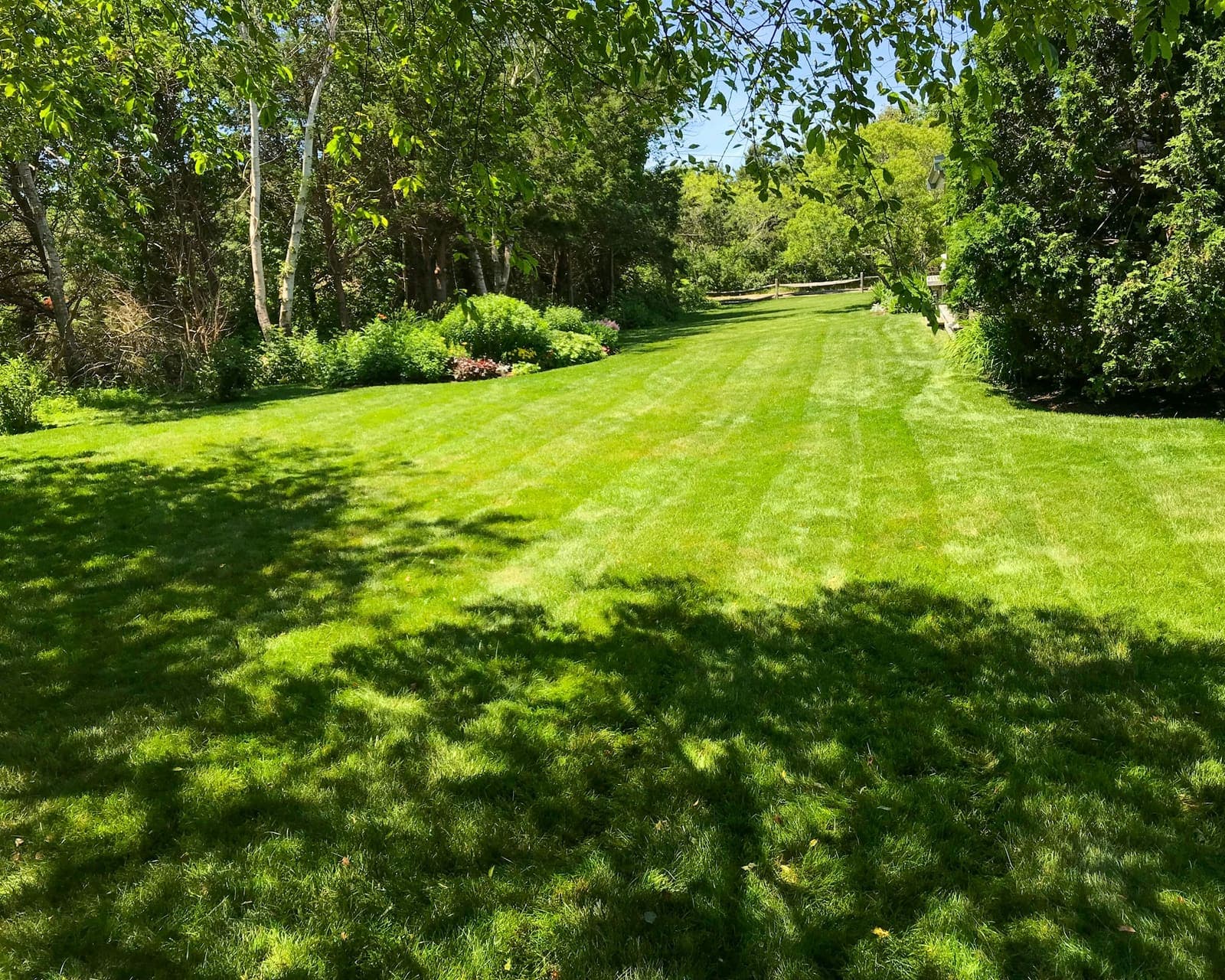 A wide, freshly mown lawn with clean stripes running toward a planted border.