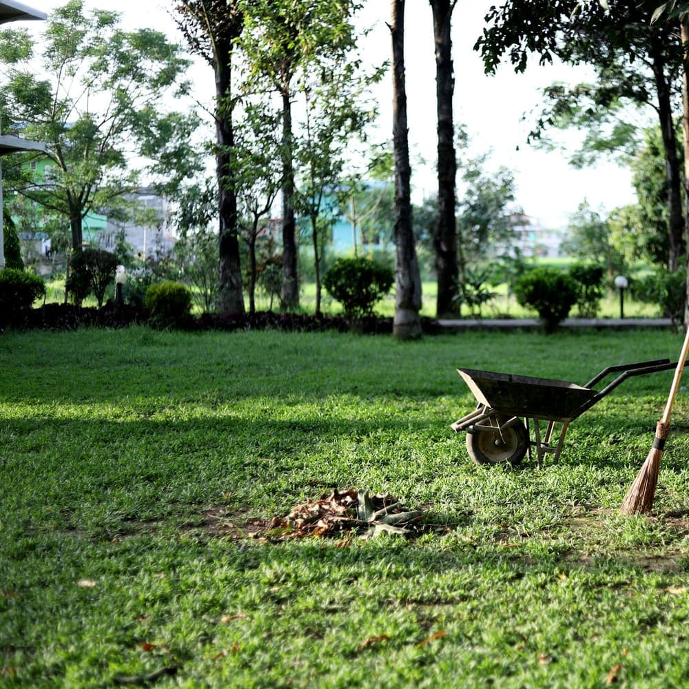 A wheelbarrow and rake beside a small pile of raked yard debris.