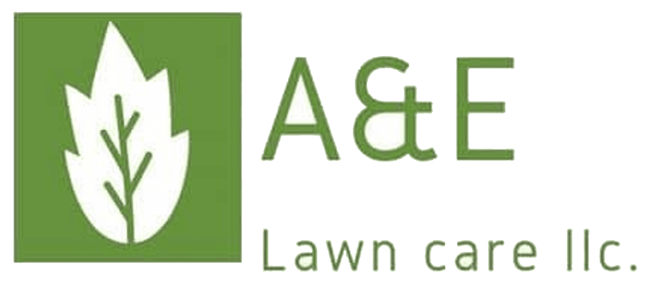 A&E Lawn Care logo